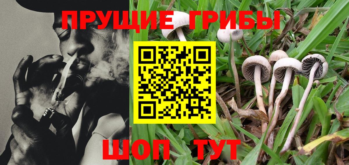 Галлюциногенные грибы MAGIC MUSHROOMS  Галлюциногенные грибы прущие грибы  Симферополь  Вход с VPN 
